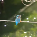 アイコン